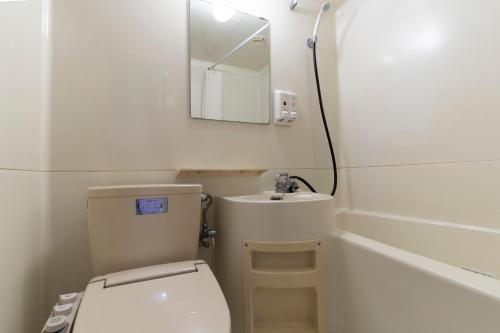 津市Hisai Green Hotel的一间带卫生间、水槽和镜子的浴室