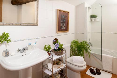 圣地亚哥－德孔波斯特拉托雷布兰卡旅馆的一间带水槽、卫生间和淋浴的浴室