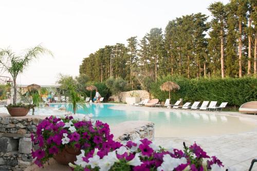 朱尔迪尼亚诺贝拉里亚公寓酒店的游泳池配有椅子,鲜花紫色和白色