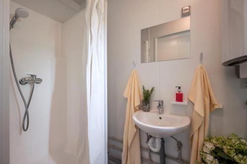 盖洛斯Container House的一间带水槽和淋浴的浴室