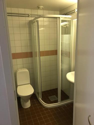 哈诺桑德米特艾哈诺萨德STF酒店的浴室配有卫生间、淋浴和盥洗盆。