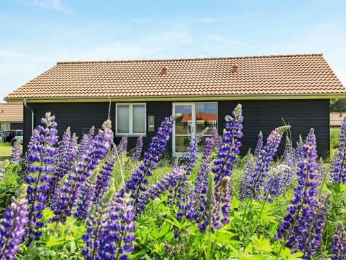 法贾德嘉德6 person holiday home in Ulfborg的一座花园,在房子前面种有紫色的花朵