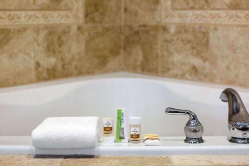都柏林都柏林拉金塔旅馆及套房酒店的浴室设有盥洗盆、洗浴用品和浴缸。