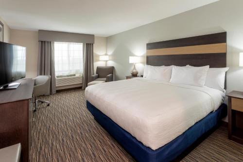 Cannon FallsGrandStay Hotel & Suites的配有一张床和一台平面电视的酒店客房
