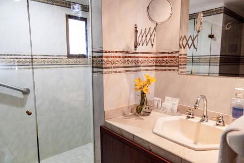 麦德林卡萨劳雷莱斯酒店的一间带水槽和淋浴的浴室