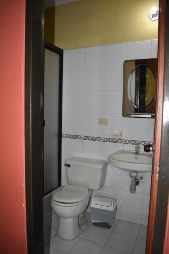 伊瓦格LA POSADA DEL VIAJERO的一间带卫生间和水槽的浴室
