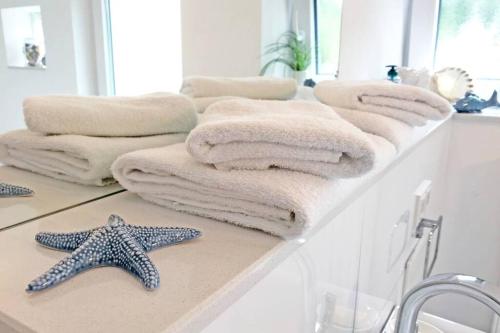 格拉登巴赫Dream Green Apartment 'Meadow'的浴室设有毛巾和镜子的台面