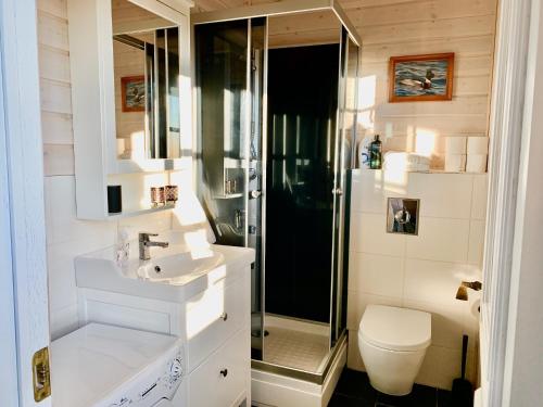 博尔加内斯Klettur的带淋浴、盥洗盆和卫生间的浴室