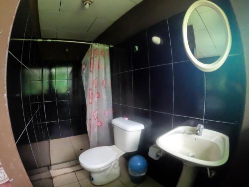 伊基托斯CABAÑA Amazon LODGE的一间带卫生间、水槽和镜子的浴室