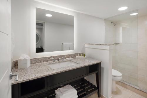 蒙特哥贝罗斯霍尔希尔顿温泉度假酒店的一间带水槽、卫生间和镜子的浴室