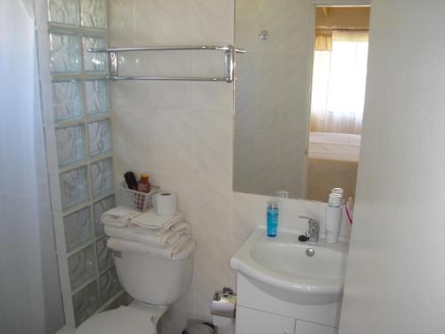 拉塞雷纳MarSerena的一间带卫生间、水槽和镜子的浴室