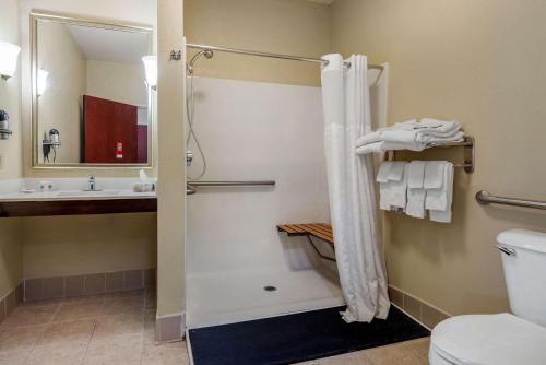 代顿Comfort Suites Dayton-Wright Patterson的带淋浴、卫生间和盥洗盆的浴室