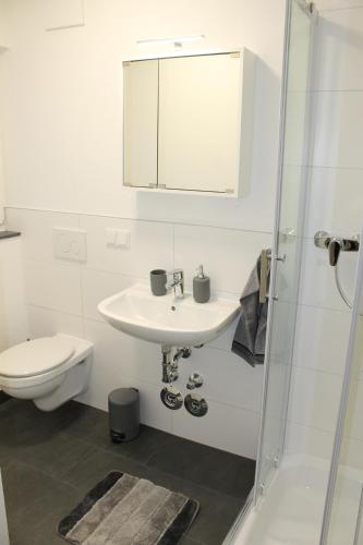 亚琛Aachener Ferienwohnung的一间带水槽、卫生间和镜子的浴室
