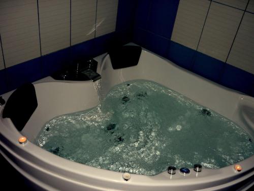 卡托劳塔翁阿尔卡尤妮斯Spa公寓式酒店的浴室设有装满绿水的浴缸