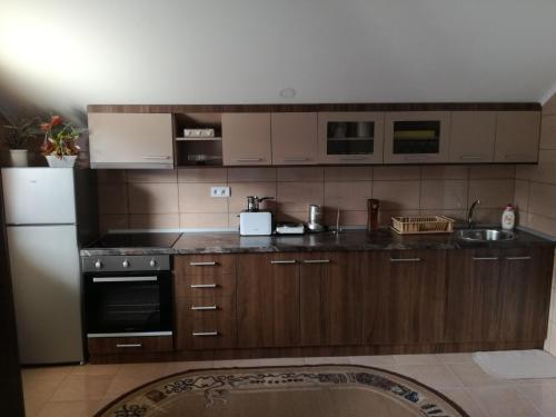 巴伊纳巴什塔Apartman Vukan的厨房配有木制橱柜和白色冰箱。