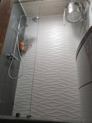 TrushkiТрушки34的带淋浴的浴室和玻璃墙