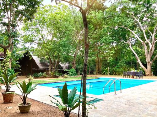 哈伯勒内A4别墅及SPA酒店的一座树木繁茂的庭院内的游泳池