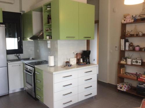 科莫蒂尼green guesthouse的厨房配有绿色橱柜和白色电器