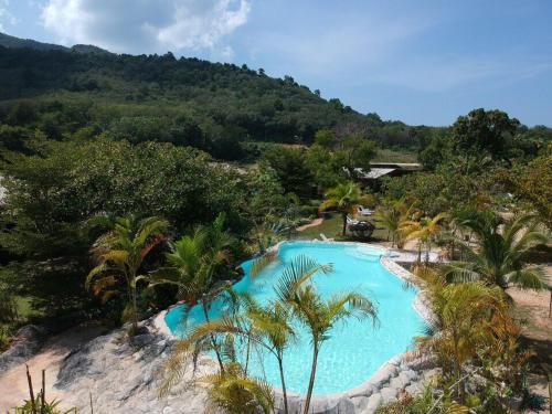 俊穆岛浦岛别墅度假村的一座棕榈树和山地游泳池