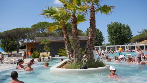 塞特港Mobil home au castellas marseillan的一群人在棕榈树游泳池里