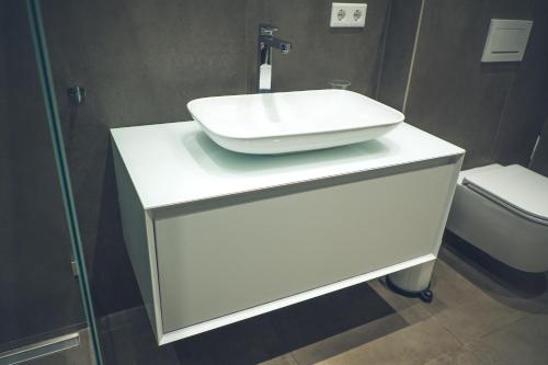 慕尼黑Stylisch eingerichtete Wohnung mitten in München!的浴室配有白色水槽和卫生间。