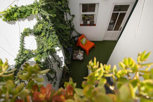 休达德亚经济&时尚酒店的享有带植物和窗户的房间的景色