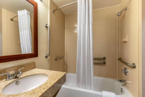 富兰克林冷泉江山旅馆及套房酒店的一间带水槽和淋浴的浴室