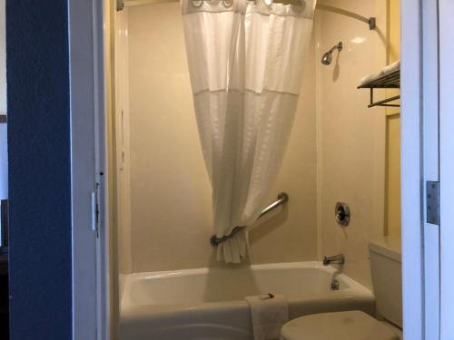 海沃德戴斯酒店，海沃德机场的带浴缸、卫生间和淋浴帘的浴室