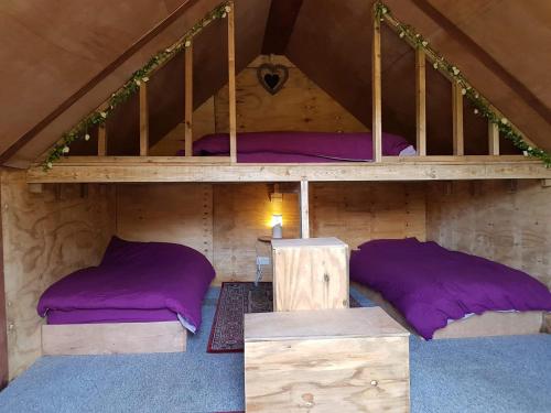 南安普敦Bell Tent Glamping at Royal Victoria Country Park的小木屋内的两张双层床,配有紫色枕头