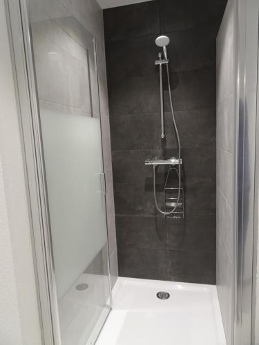 圣伊波利特Maison d'Hôtes Le Cep d'Or Alsace的浴室里设有玻璃门淋浴