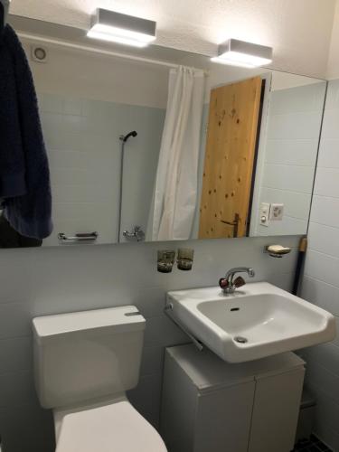 达沃斯Chalet Studio - Top Ausstattung - beste Lage Davos的浴室配有白色卫生间和盥洗盆。