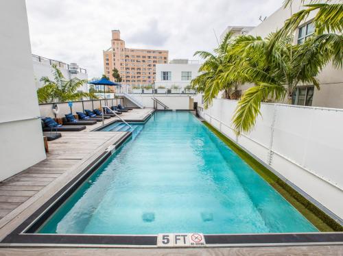 迈阿密海滩珀斯南海滩酒店的棕榈树建筑屋顶上的游泳池
