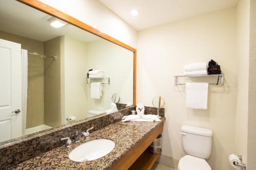 皮斯莫比奇谢尔特科夫贝斯特韦斯特酒店的一间带水槽、卫生间和镜子的浴室