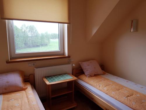 米科瓦伊基Eko Zagroda Bocianie Gniazdo的小房间设有两张床和窗户