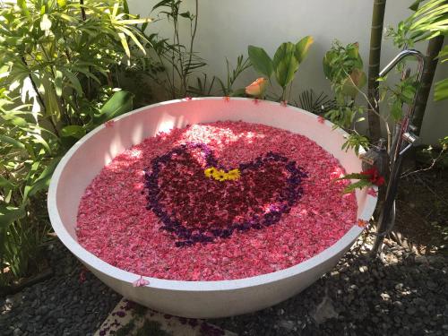 坎古塞纳拉别墅 的花园里盛着粉红色花的大碗