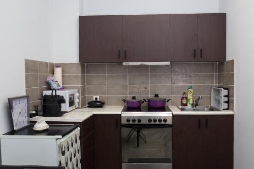 雅典Dimitras Apartment的厨房配有炉灶和微波炉。