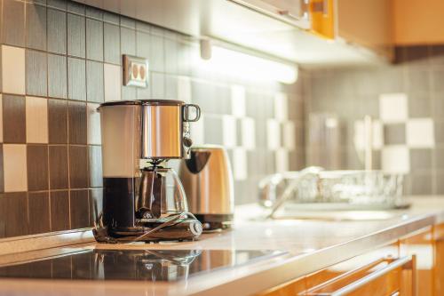 莫斯特拉纳Apartma BOROVC的厨房的柜台上的咖啡壶