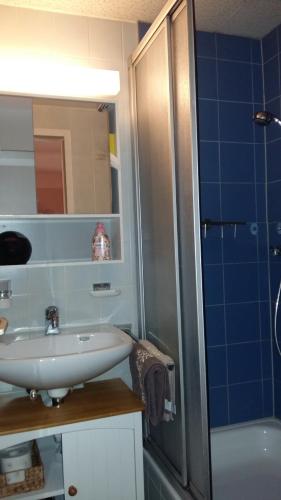 多恩比恩Privatzimmer im Gasthaus Engel的一间带水槽和淋浴的浴室