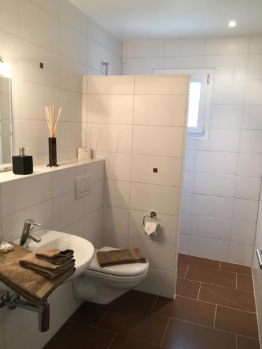 EcublensMontaney Guests House - EPFL的白色的浴室设有卫生间和水槽。