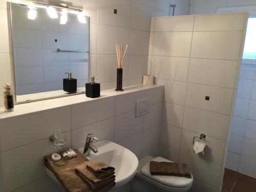 EcublensMontaney Guests House - EPFL的一间带水槽、卫生间和镜子的浴室