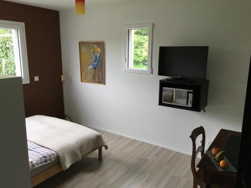 EcublensMontaney Guests House - EPFL的一间卧室配有一张床和一台平面电视