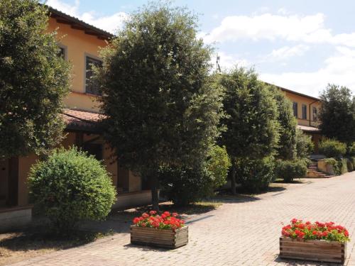 Poggio Picenze德拉奥斯特利亚波斯塔酒店的木箱里的一排树木和花