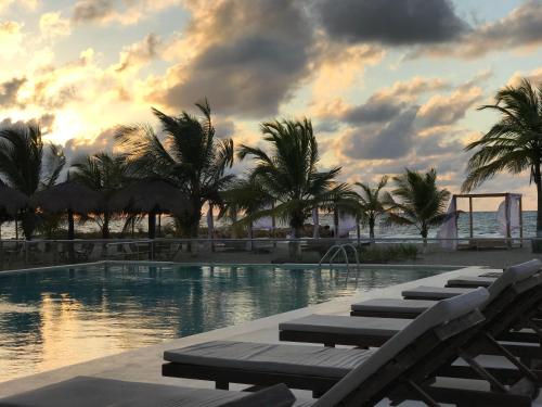 托卢Loa Hotel的一个带躺椅和棕榈树的游泳池