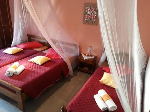 阿齐欧斯·贡多斯索菲亚玛格丽塔旅馆的一间卧室配有两张带蚊帐的床