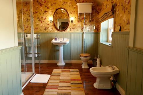 安特里姆Crookedstone House的一间带水槽、卫生间和镜子的浴室