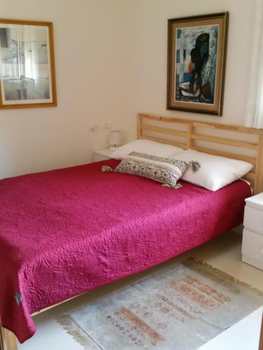 DorBeit Haner Moshav Dor的一间卧室配有一张带粉色毯子的床