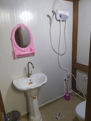 纳布卢斯Success Hostel的一间带水槽和镜子的浴室
