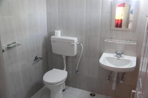 博卡拉丰收圆月乡村民宿的一间带卫生间和水槽的浴室