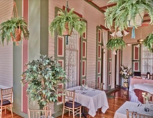 五月岬郡南方大厦住宿加早餐旅馆的用餐室配有桌椅和植物