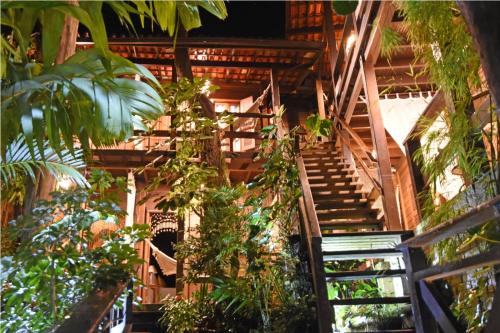 阿布拉奥坎布卡斯溪流酒店的植物繁多的建筑物中的楼梯